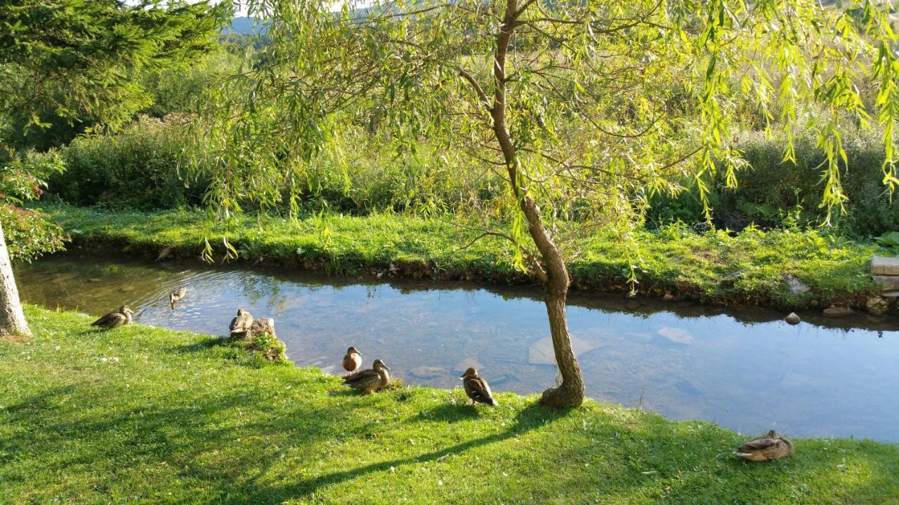 Rustic Inn River Prijeboj Eksteriør bilde